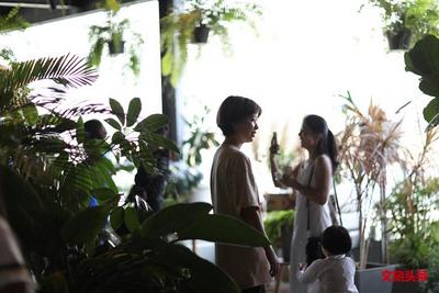 遇见“世纪植物”龙舌兰花期，“植物的力量”联合艺术展昆明斗南开展 