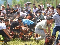 千古博南 味道永平