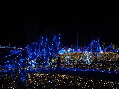 普者黑景区灯光烟花秀来袭   3000万盏灯点亮丘北不夜城