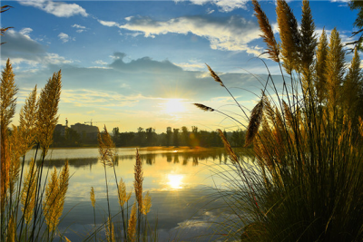 中秋，到昌宁品秋