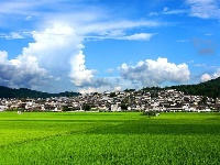 【就爱去保山】和顺古镇