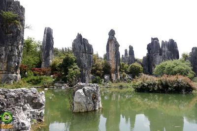 【就爱去昆明】昆明石林风景区