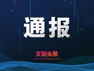 昆明市2019年7至8月收到旅游投诉件721件