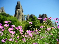 【就爱去昆明】石林风景区