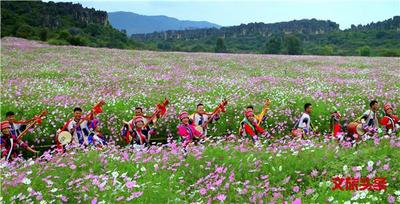 国庆去石林：万石成林，花开成海！