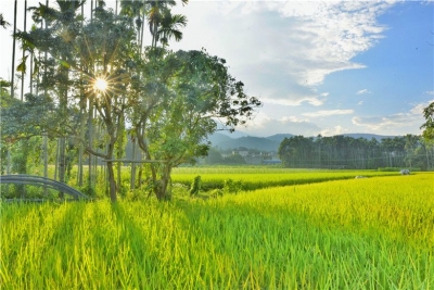 新平大戛高速9月30日通车！玩转“哀牢山•红河谷”神秘浪漫之旅更便捷！