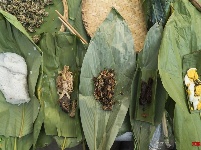 【就爱去德宏】绿叶宴 大自然的味道