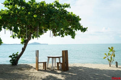 漫步苏梅岛 沐浴椰香里的浪漫