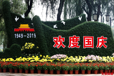 大观公园邀您国庆赏10000余盆菊花