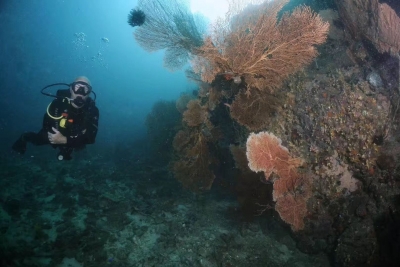 潜入斯米兰往北一百多海里的地方，来一场冒险……