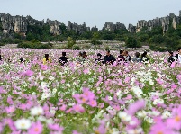 【就爱去昆明】石林风景区