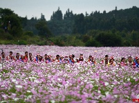 【就爱去昆明】石林风景区