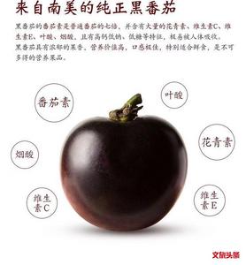 我很黑，但我是西红柿“首富”……