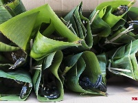 【就爱去德宏】绿叶宴 大自然的味道