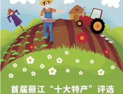 28选10！哪些特产能够代表丽江?快来投票……