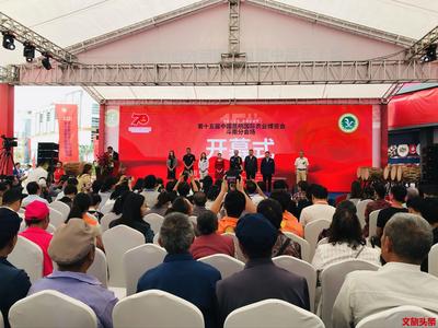 第十五届农博会斗南分会场开幕 绽放“云花”魅力