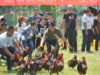 千古博南 味道永平