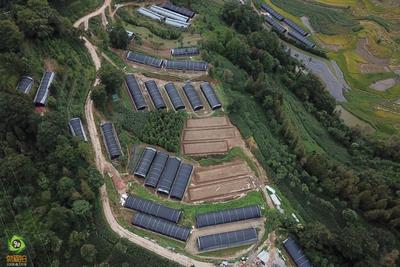 红河县甲寅镇积极探索食用菌产业易地集中式扶贫模式