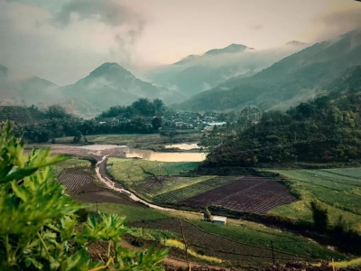 享高山林间茶之珍稀，品这杯高山林间的清香……