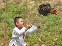 千古博南 味道永平