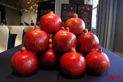 打通石榴树变成“摇钱树”最后一公里 云南软籽石榴走进上海