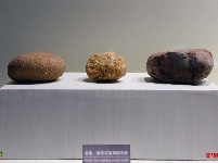 【就爱去楚雄】楚雄元谋人博物馆