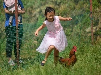 千古博南 味道永平