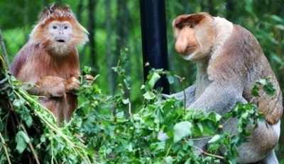 来天空之城玩沙？