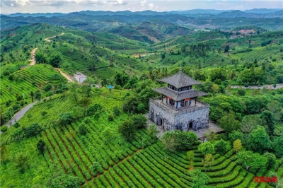 【就爱去普洱】普洱中华普洱茶博览苑