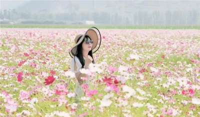 邂逅楚雄五彩斑斓的秋！住山水间，观日出云海，看山花烂漫