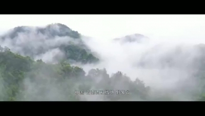 【就爱去西双版纳】西双版纳野象谷景区