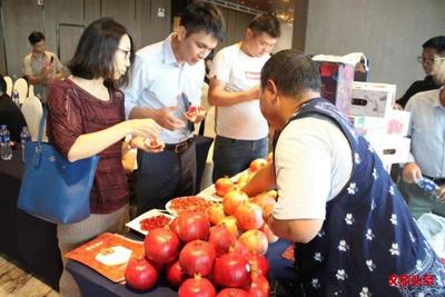 打通石榴树变成“摇钱树”最后一公里 云南软籽石榴走进上海