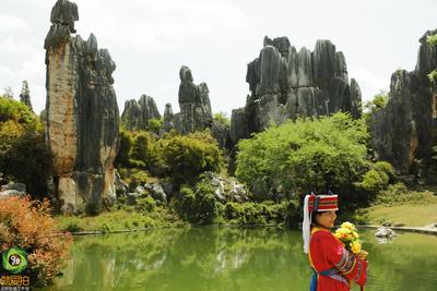 【就爱去昆明】昆明石林风景区