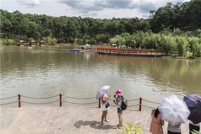 国庆出游如何玩转楚雄？收好这份攻略，带你畅游彝乡！