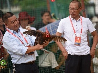 千古博南 味道永平