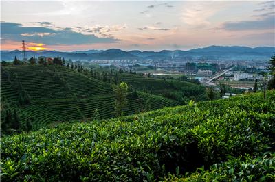 普洱市思茅区荣获“中国最美旅游名区”“新时代品质旅游城市”称号