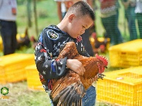 千古博南 味道永平