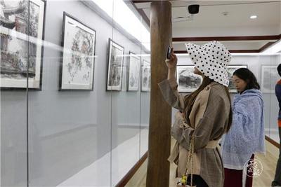 国家一级美术师王亚臣百幅水墨画展在丽江展出