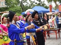 热热闹闹的佤族新米节