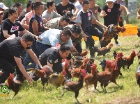 千古博南 味道永平