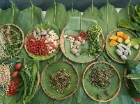 【就爱去德宏】绿叶宴 大自然的味道