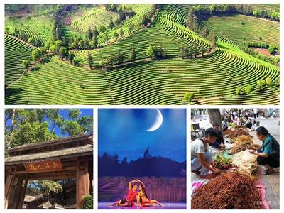 普洱：“文化+旅游”合成诗和远方