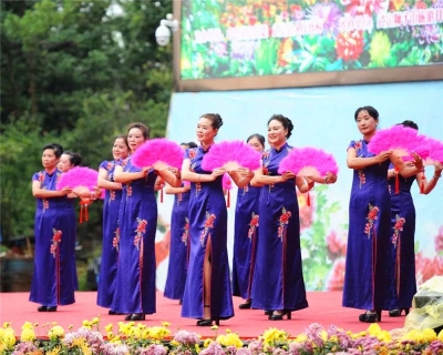 武定狮子山秋菊盛开，万瓣花蕊吐芬芳，国庆节邀你来赏！