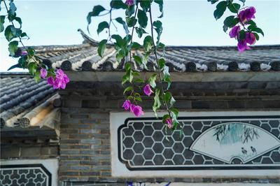 【就爱去鸡足山】寺前村