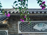 【就爱去鸡足山】寺前村