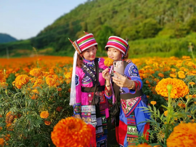 赏壮丽美景寻地道美食 九乡变身旅游网红打卡地