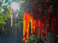 【就爱去鸡足山】九莲寺