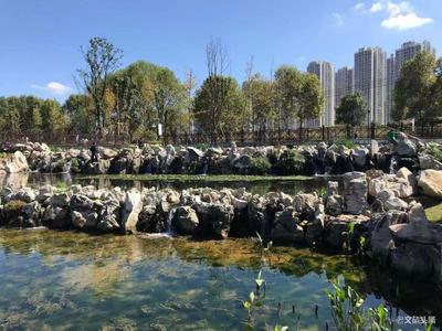 曾经“臭水塘”变身“城市花园”——  贵阳七彩湖生态湿地公园被媒体称赞