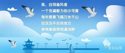 滇池到底有多好玩？来昆玩了34年的资深玩家给你侃一侃！