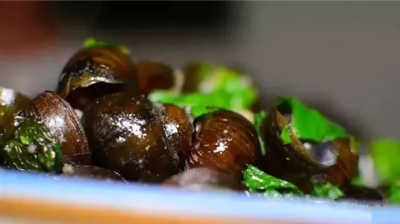 新平的这些“美味”，绝了！